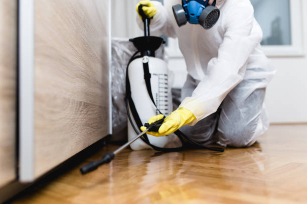 Best Spider Control Near Me  in Tri City, OR