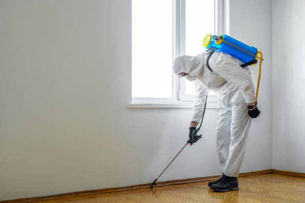 Best Affordable Pest Control Services  in Tri City, OR