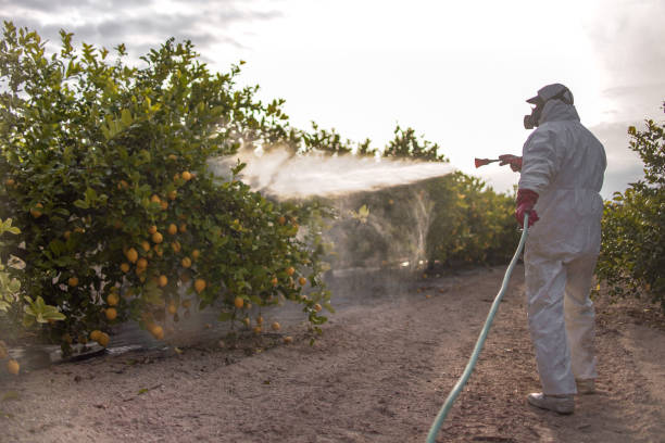Best Pest Removal Services  in Tri City, OR