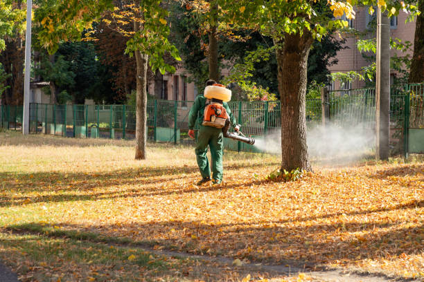Reliable Tri City, OR Pest Control Solutions