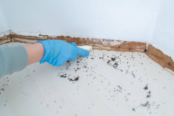 Best Wasp Removal Services  in Tri City, OR